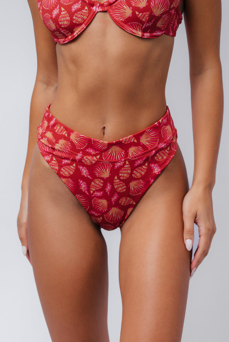 Seashell Summer Olivia Cheeky Bikini Bottom