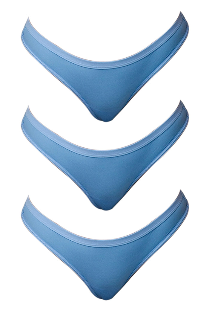 Sheer Essence Mid Rise Panties | 3 Pack – Wicked Weasel